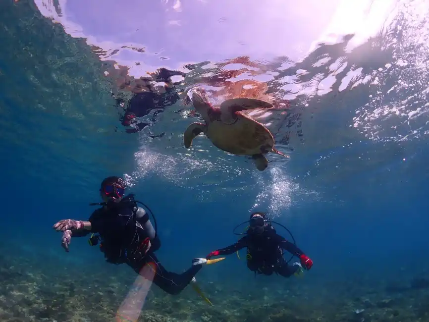 だから夢心地では、「練習してから楽しむ」これを体験ダイビングの基準にしています。