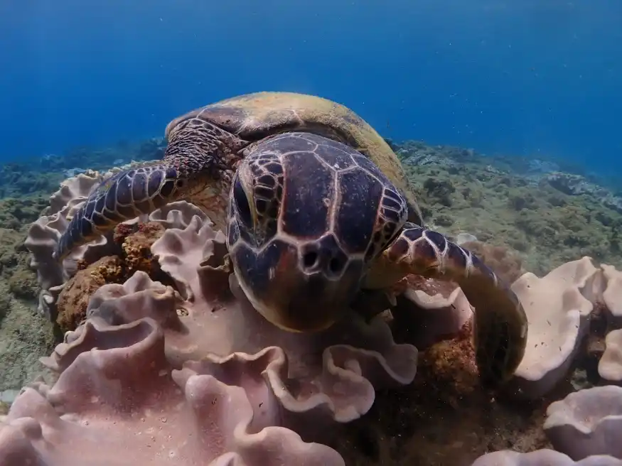 夢心地が大切にしていること